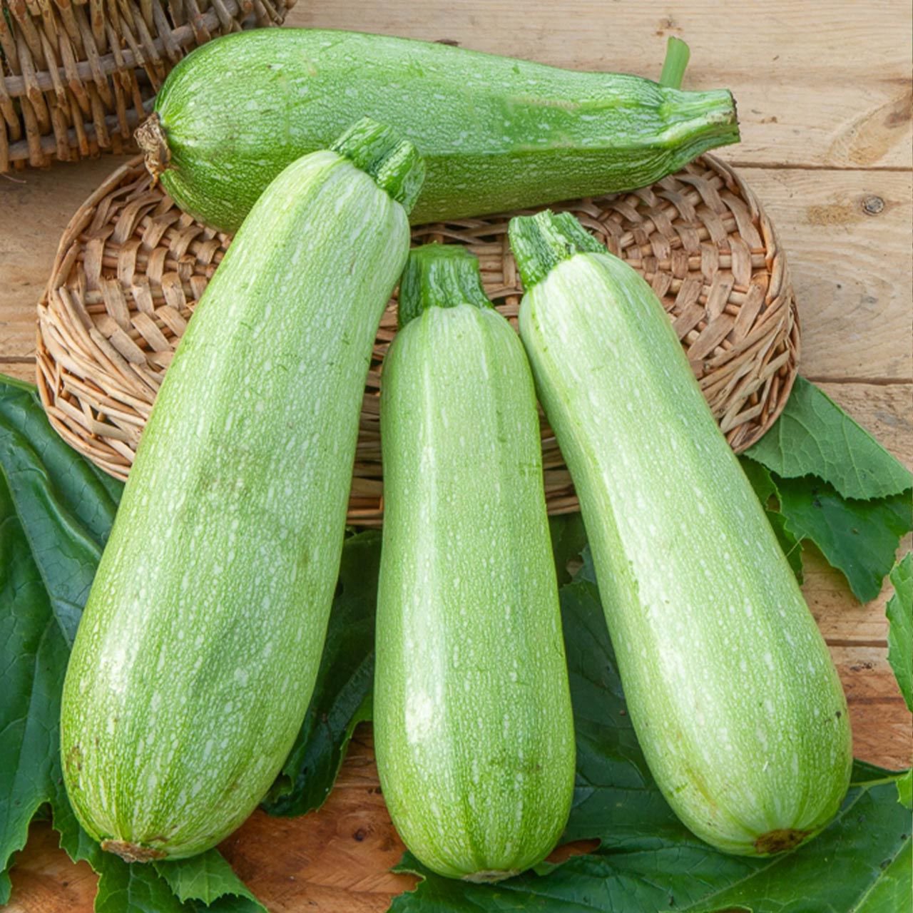 Kabak Dolma KG. 45.00 TL