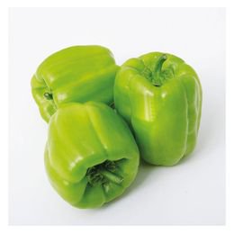 Biber Dolma KG. 49 TL
