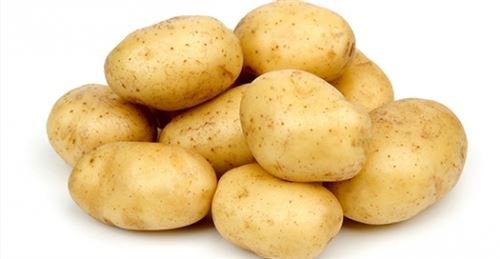 Patates KG. 22.00 TL