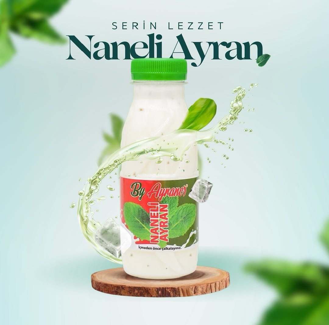 By Naneli Ayran 270 ml.