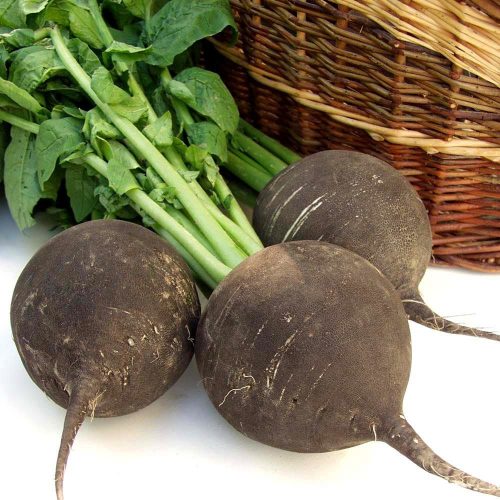 Turp Siyah KG. 25 TL