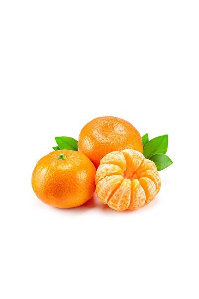 Mandalina İzmir KG. 59.00 TL