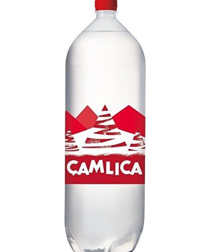 Çamlıca Gazoz 2.5 Lt.